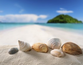 Composition with beach water, sand, starfish and seashells. Summer vacations concept, AI generated