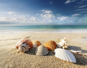 Composition with beach water, sand, starfish and seashells. Summer vacations concept, AI generated