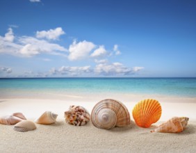 Composition with beach water, sand, starfish and seashells. Summer vacations concept, AI generated