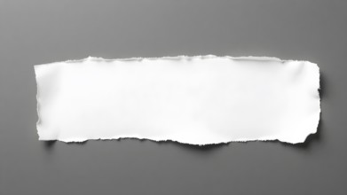 A beautifully textured torn piece of paper on a clean background, highlighting simplicity and