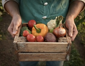 Man holding wooden crate with vegetables. Wooden box filled with fresh food products and ready for