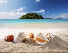 Composition with beach water, sand, starfish and seashells. Summer vacations concept, AI generated