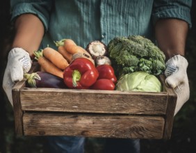 Man holding wooden crate with vegetables. Wooden box filled with fresh food products and ready for