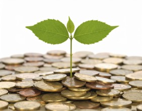 Coins with seedling eco saving concept image symbolizing financial growth, sustainable development,