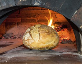 Fresh baked bread steaming on rustic wooden background, symbolizing artisanal baking, tradition,