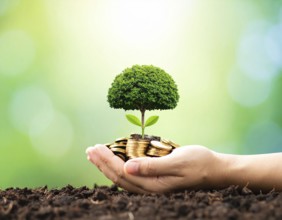 Coins with seedling eco saving concept image symbolizing financial growth, sustainable development,