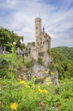 Fairytale castle on a steep rock surrounded by green nature and yellow flowers in the foreground,