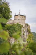 Castle on a rock with towers surrounded by lush vegetation, Lichtenstein Castle, Lichtenstein,
