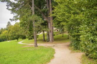 Winding path through a green park landscape with tall trees, Lichtenstein Castle, Lichtenstein,