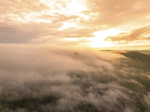 Aerial view of a fog-covered forest at sunset with dramatic sky, Lichtenstein Castle, Lichtenstein,