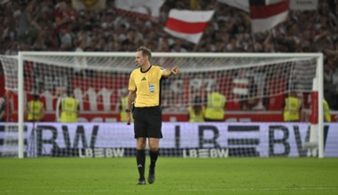 Referee Referee Sascha Stegemann Gesture Gesture Football Bundesliga, MHPArena, MHP Arena