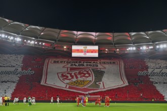 Choreo, choreography, fan campaign German Cup Winner VfB Stuttgart, Football Bundesliga, MHPArena,