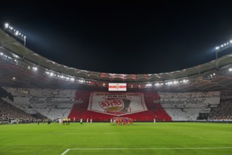 Choreo, choreography, fan campaign German Cup Winner VfB Stuttgart, Football Bundesliga, MHPArena,