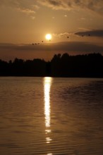 Lusatian pond landscape, beautiful evening mood, summer, Saxony, Germany