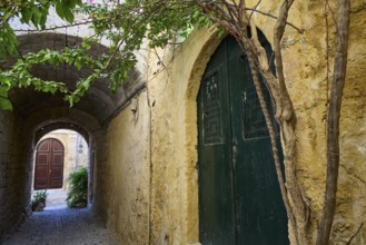 Narrow alley with stone walls and a greenish wooden door, enlivened by plants in a historic