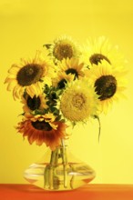 Still life with picturesque sunflowers in a vase, Germany