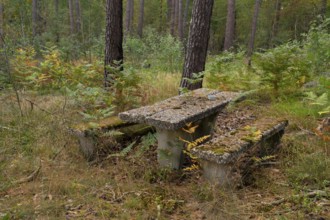 Photograph of a weathered seating area or resting place made of exposed aggregate concrete standing
