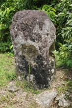 Ancient stone monolith Stone monolith in the shape of a head with unknown meaning in the sub-state