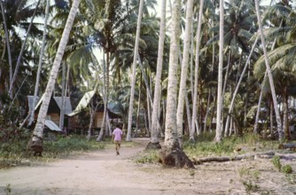 Traditional village houses in coconut palm trees, Malacca or Melaka, Malaya, Malaysia, south east