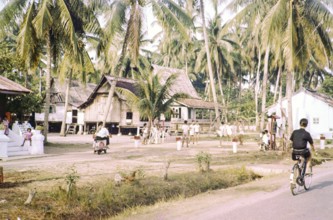 Traditional village houses in coconut palm trees, boys and young men playing Sepak Takraw foot