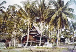 Traditional village houses in coconut palm trees, Malacca or Melaka, Malaya, Malaysia, south east