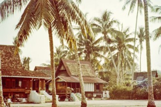 Traditional village houses in coconut palm trees, Malacca or Melaka, Malaya, Malaysia, south east