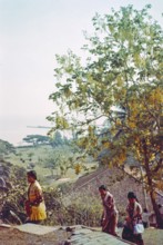 View over Coronation Park to coastline prior to land reclamation, Malacca or Melaka, Malaya,