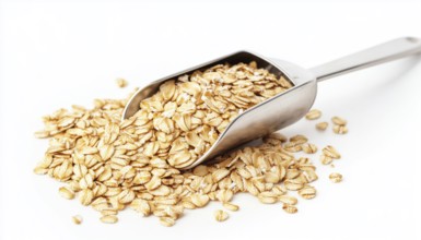 Premium Oat Groats And Rolled Oats Displayed On Metal Scoop Against A White Background - Featuring
