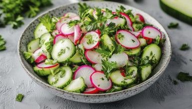 Top View Close-Up Of A Delicious Vegetable Salad With Radish, Cucumber, And Herbs On A Gray Plate,