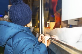 Curious child admiring a festive christmas window display in bayonne, france, during the magical