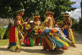 Traditional group of dancers from Yap Island dancing in historical traditional costume with
