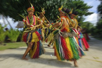 Traditional group of dancers from Yap Island dancing in historical traditional dress traditional