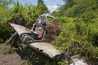 Aircraft wreckage of Japanese fighter aircraft A6M5 Model 52 Zero of Imperial Japanese Navy (IJN)