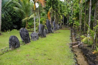 Oversized large giant stone coins real currency in stone money bank stone money bank in jungle of