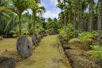 Oversized large giant stone coins real currency in stone money bank stone money bank in jungle of