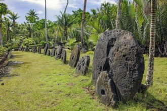 Oversized large giant stone coins real stone money in stone money bank stone money bank in jungle