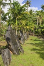 Oversized large giant stone coins real currency in stone money bank stone money bank in jungle of