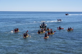 Kayak tours to the rocky coast of Ponta da Piedade, groups of tourists kayak on the sea to the