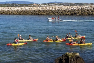 Kayak tours to the rocky coast of Ponta da Piedade, groups of tourists kayak on the sea to the