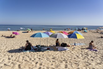 Kilometre-long sandy beach Praia do Barril, on the island off Santa Luzia, Algarve, Portugal