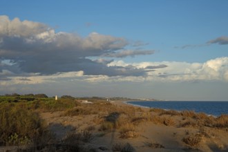 View over the dunes in Isla Cristina in the golden hour, Atlantic Ocean, Atlantic Ocean, sandy