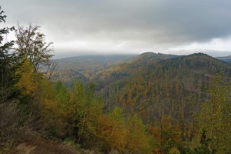 Landscape in the Thuringian Forest near Bad Tabarz in autumn, Bad Tabarz, Thuringia, Germany