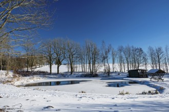 Frozen pond in the Thuringian Forest in winter with snow and blue sky, Frauenwald, Thuringia,