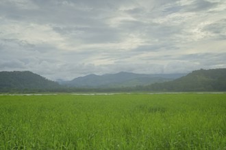 View of the Angostura dam lake with the surrounding mountains, Turrialba, Costa Rica