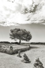 A solitary pine tree stands in a rocky landscape under an expansive sky in a monochrome painting,