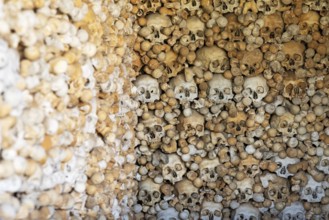 Skulls, skeletons, ossuary, Saint-Hilaire cemetery, Marville, Renaissance village, Département