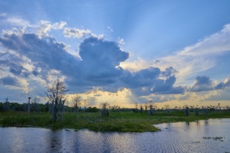 Vast lakescape under a dramatic sky with sunbeams, Orlando Wetlands, Christmas, Florida, USA