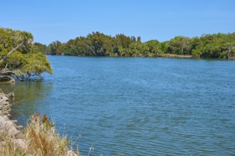 River landscape with serene water and green trees on the banks, Haulover Canal, Merritt Island