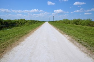 Endless gravel road amidst grass and trees under a blue sky, Lake Apopka North Shore, Orlando,