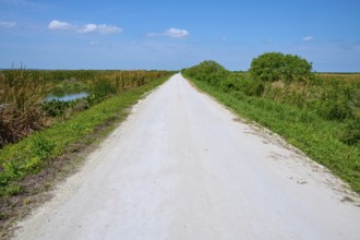 Straight, white gravel path between green vegetation under a clear blue sky, Lake Apopka North